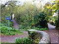 Paths diverge going northwards from bridge over canal