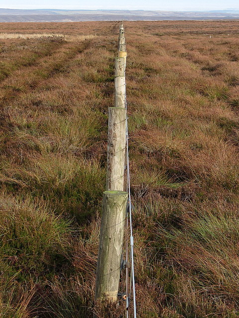 Fence on Nookton West Fell