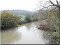 The River Mole at Givons Grove