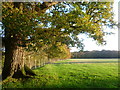 On the footpath to Bethersden