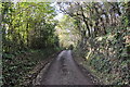 Torridge : Country Lane