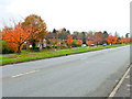 Autumn comes to Cherry Tree Road