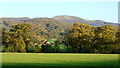 View over the Cradley Brook valley