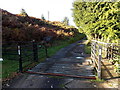 Grid across Ballarat, Pencoed