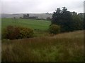 Countryside East of Butterton