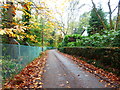 Looking west on Firbank Lane