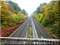 Autumn colours by the railway