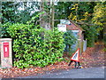 Footpath heads north from Hook Heath Road