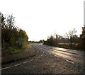 TM1681 : Entering Thelveton on Norwich Road by Geographer