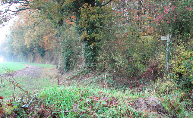 Footpath skirting the southern edge of Woodlands