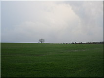 TA1009 : Landscape near Little Limber Grange by Jonathan Thacker
