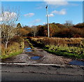 Maes-y-gwaelod near Heol-y-cyw