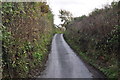 Torridge : Country Lane