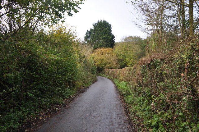Torridge : Country Lane