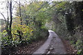 Torridge : Country Lane