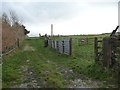 Sheep pens off Park Lane