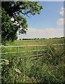 SU3173 : Farmland by Wiltshire Bottom by Derek Harper