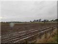 Ploughed field at Barry