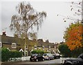 Old East Sheen: cottages in Christchurch Road