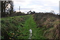 Torridge : Grassy Footpath