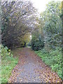 Footpath alongside the M4 at Harlington