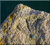 J5252 : Bench Mark, Killyleagh by Rossographer