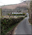 Drystone wall near Pontygwaith Farm