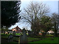 St Andrew, Cobham: churchyard (g)