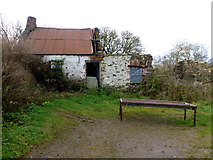H5371 : Ruined cottage, Bracky by Kenneth  Allen