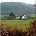 St John the Baptist, Llanrothal