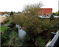 Vegetation over the Cherwell, Banbury