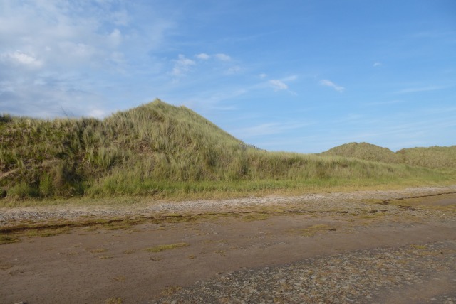 Dunes along Shell Road