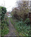 Path from Acorn Grove to Maple Avenue, Pershore