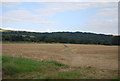 Footpath across a field