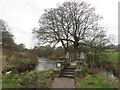 Footbridge over Colne Water