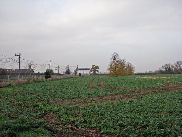 Great Shelford: beet field by the railway