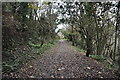 Westward Ho! : Footpath