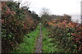 Westward Ho! : Footpath