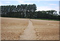 Footpath across a field