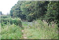 Kissing gate on the edge of Wye