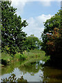 Macclesfield Canal south-east of Astbury, Cheshire