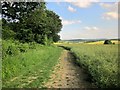 Bridleway by Cakewood Borders