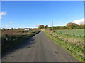 Road at the Ordnance Survey Triangulation Pillar near Dales Farm