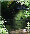 The Crooked Oak Stream, from Wadham Bridge, near Knowstone, Devon