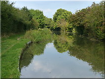 SP6594 : Grand Union Canal near Fleckney by Mat Fascione
