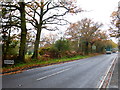 The A319 enters Chobham from the east