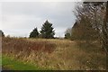 Waste ground near Roughwood