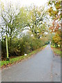 Looking south on Chobham Park Lane