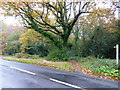 Short footpath from South to Horsell Common Roads