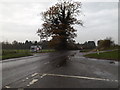 TM1478 : A1066 Diss Road, Waterloo by Geographer